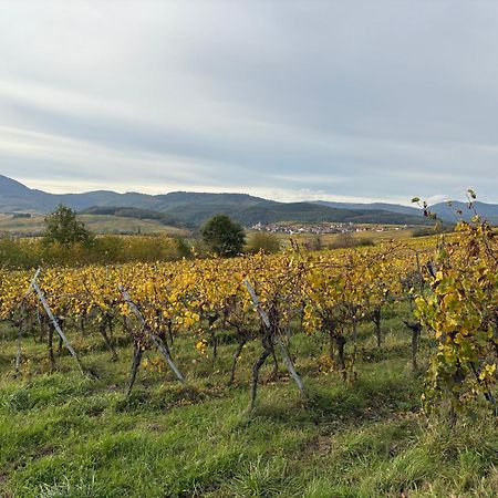 Gite Des Potiers Epfig Esterno foto